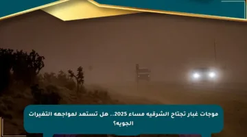 موجات غبار تجتاح الشرقية مساء 2025.. هل تستعد لمواجهة التغيرات الجوية؟